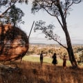 The Best Food and Wine Experiences in Adelaide: A Culinary Journey Through South Australia