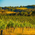 Discover the Best Wine Regions in Australia