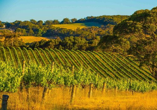 Discover the Best Wine Regions in Australia