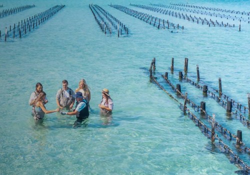 Discover the Best Foodie Destinations in Australia
